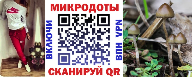 Купить закладки  Яранск  Галлюциногенные грибы прущие грибы 